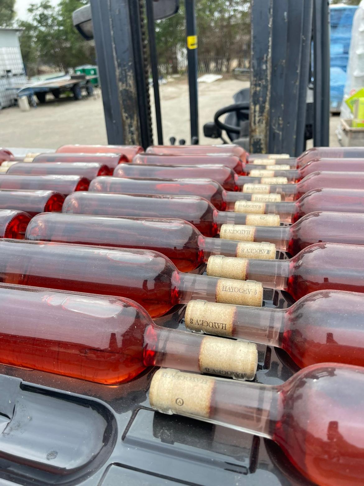 תמונה של WhatsApp‏ 2024-01-04 בשעה 12.00.37_dcf365da.jpg