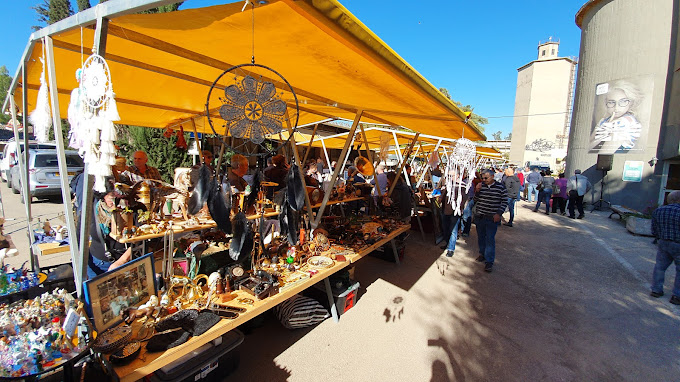 פעם שנייה מזרע.jpg