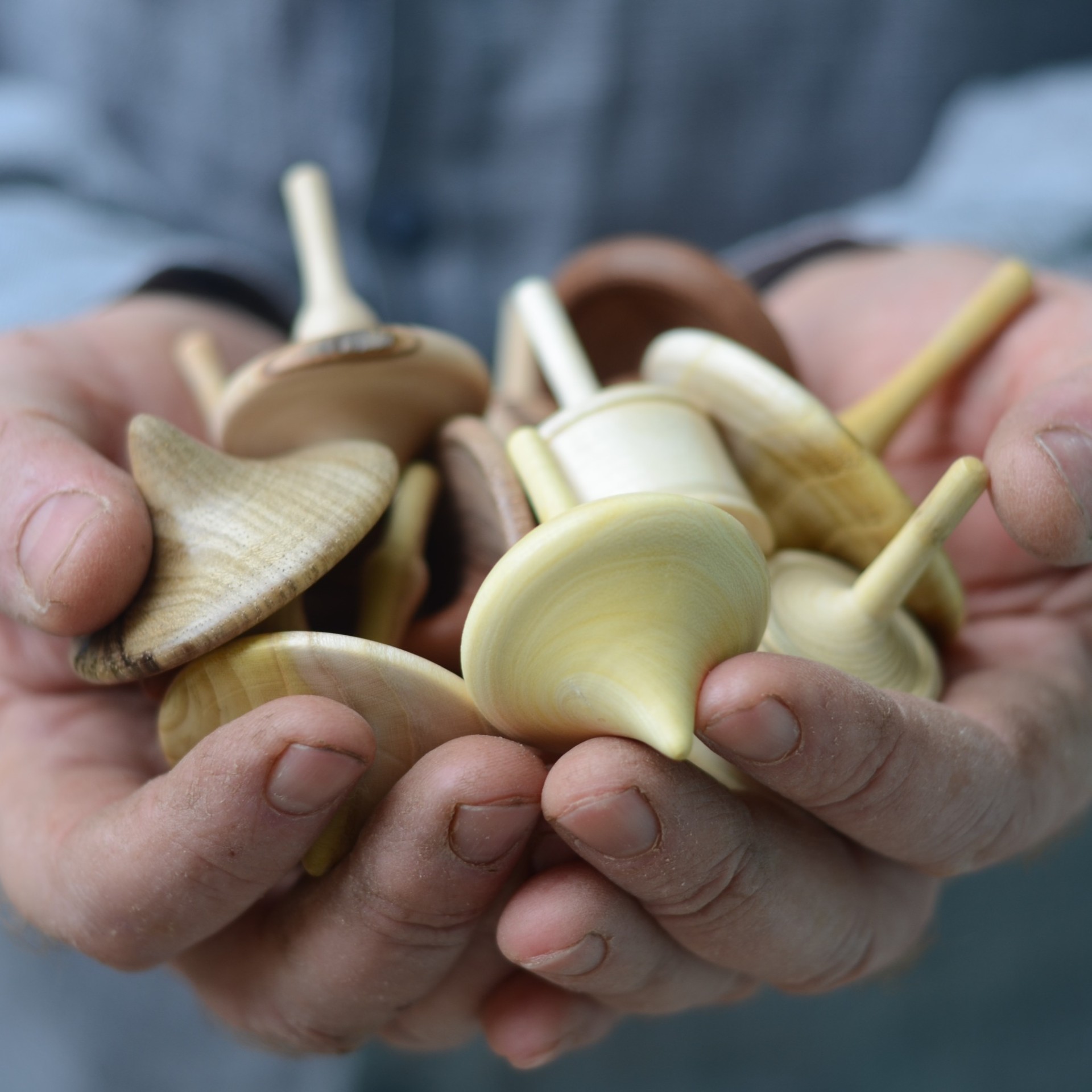 thumbnail_פעילות סביבונים 17.12.jpg