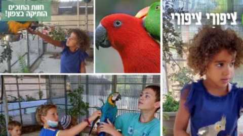 דברים טובים בציפורי