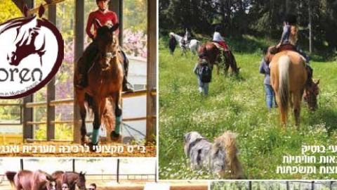 דברים טובים בציפורי