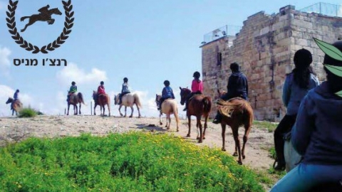 דברים טובים בציפורי
