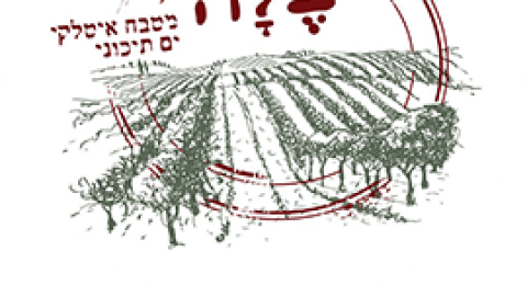 בלה - מטבח איטלקי ים תיכוני