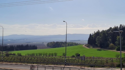 מישקה יפעת