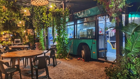 גרין באס
