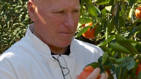 המטבח של דורון בר און