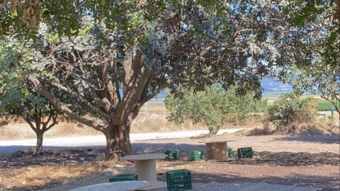 הצריף