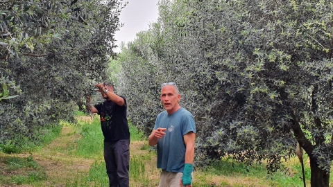 בית בד גלילי