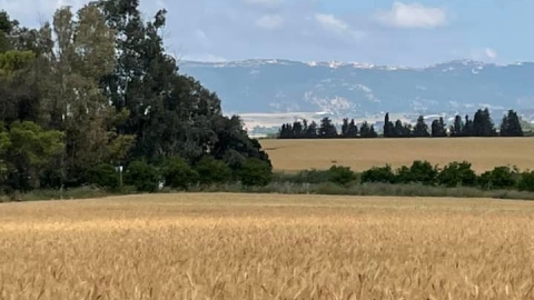 דירת אירוח בקיבוץ יפעת