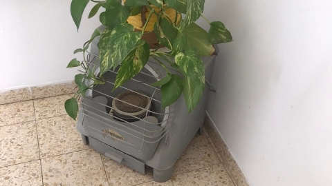 דירת אירוח בקיבוץ יפעת