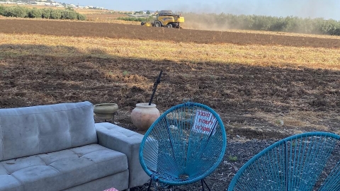 פיצה היזרעאלית