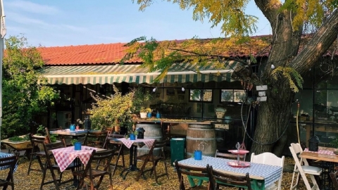 חוות קירשנר בית לחם הגלילית 