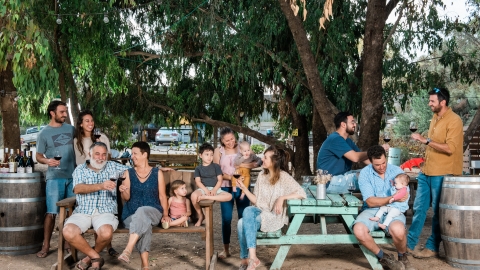 יקב משק אופיר אלון הגליל
