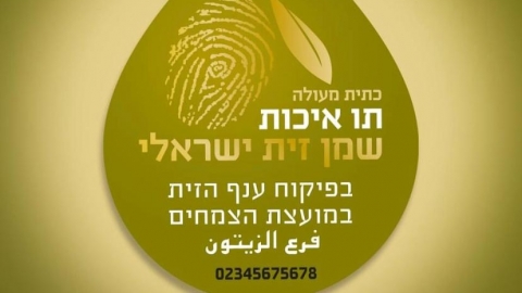 לביא שמן זית מהגליל 