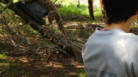 מרכז הקשתות הישראלי 
