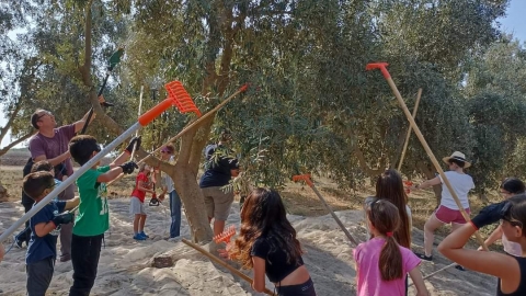 משק רויניק