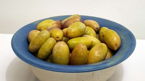 משק רויניק