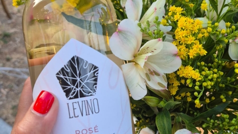 יקב levino